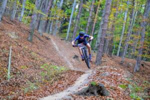 023 42DSC 6731 (Copy)