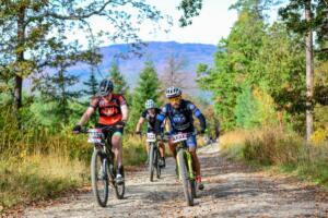 043 84DSC 7409 (Copy)