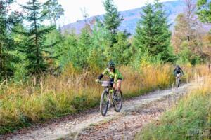 044 85DSC 7431 (Copy)