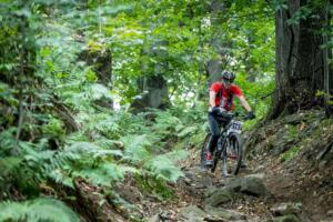 1229 20200905124552 IMG 2759 (Copy)