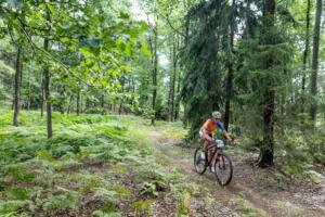 1956 20200905115342 IMG 2641 (Copy)