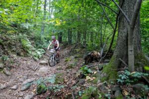 1968 20200905124112 IMG 2722 (Copy)