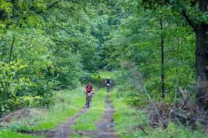 3068 20200905121726 IMG 1178 (Copy)