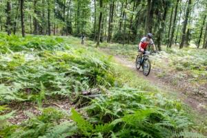 3333 20200905115552 IMG 2663 (Copy)