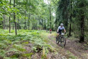 3335 20200905115317 IMG 2625 (Copy)