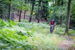 3695 20200905115229 IMG 0811 (Copy)