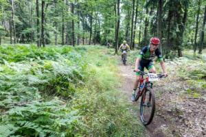 4046 20200905115530 IMG 2652 (Copy)