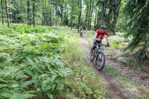 5409 20200905115521 IMG 2646 (Copy)