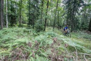 6169 20200905115047 IMG 2602 (Copy)