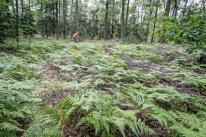 6424 20200905114955 IMG 2586 (Copy)