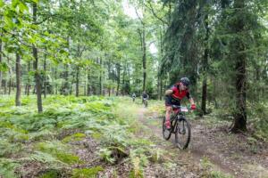 6518 20200905115311 IMG 2621 (Copy)