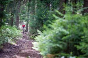 6548 20200905114057 IMG 0752 (Copy)