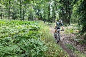 7342 20200905115505 IMG 2643 (Copy)