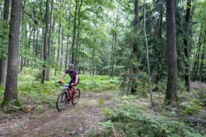 8982 20200905115210 IMG 2610 (Copy)