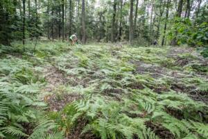 9724 20200905115002 IMG 2592 (Copy)