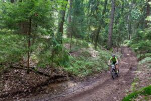 9929 20200905113332 IMG 0684 (Copy)