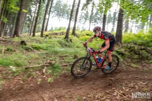 00033DSC 8297-Copy-Copy