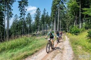 00212 DSC 8016-Copy-Copy