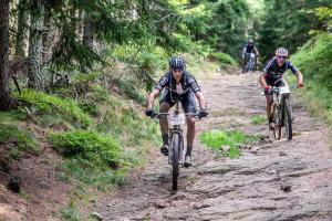 2096 11DSC 2536-Copy