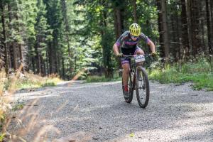 2239 37DSC 2641-Copy