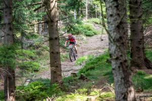 2301 17DSC 2554-Copy