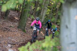 000014 DSC 4956-Copy