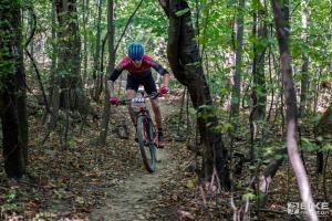 000024 DSC 5245-Copy