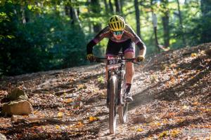 000074 DSC 4834-Copy