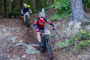 000124 DSC 4916-Copy