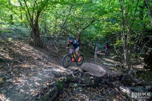 000124 DSC 8414-Copy