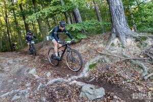 000164 DSC 8312-Copy