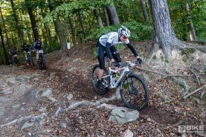 000174 DSC 8308-Copy