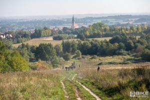 000224 DSC 4553-Copy