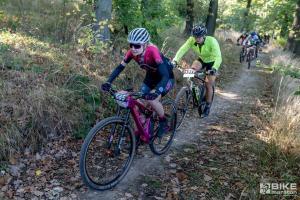 000264 DSC 8169-Copy