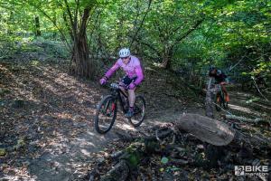 000264 DSC 8412-Copy