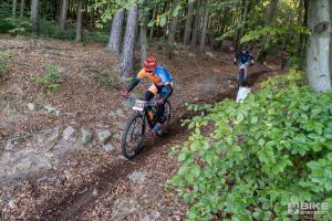 000284 DSC 8329-Copy