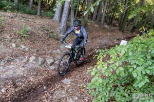 000284 DSC 8336-Copy