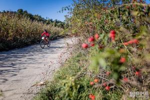 000474 20211009124729 IMG 9399-Copy