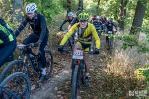 000594 DSC 8161-Copy