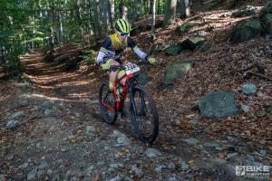 000834 DSC 8391-Copy