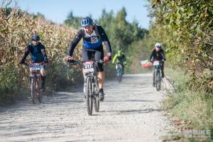 000954 DSC 5447-Copy