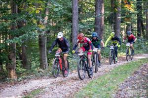 001534 DSC 4773-Copy