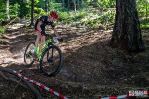 001604 DSC 8202-Copy