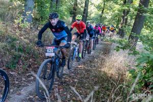 001654 DSC 8153-Copy