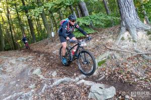 001754 DSC 8315-Copy