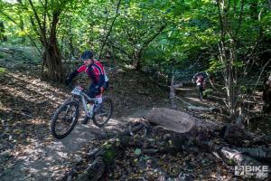 001774 DSC 8417-Copy