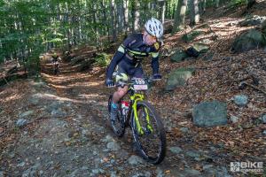 002374 DSC 8386-Copy