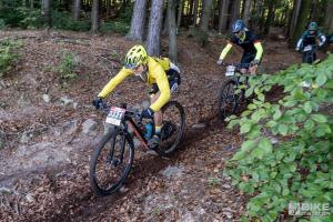 002414 DSC 8341-Copy