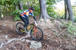 002874 DSC 8323-Copy