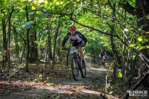 002904 DSC 5273-Copy